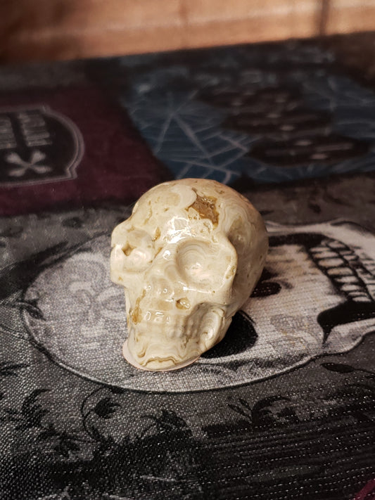 Amber Calcite Skull