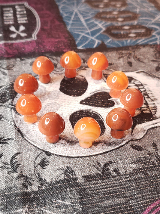 Carnelian Mushroom