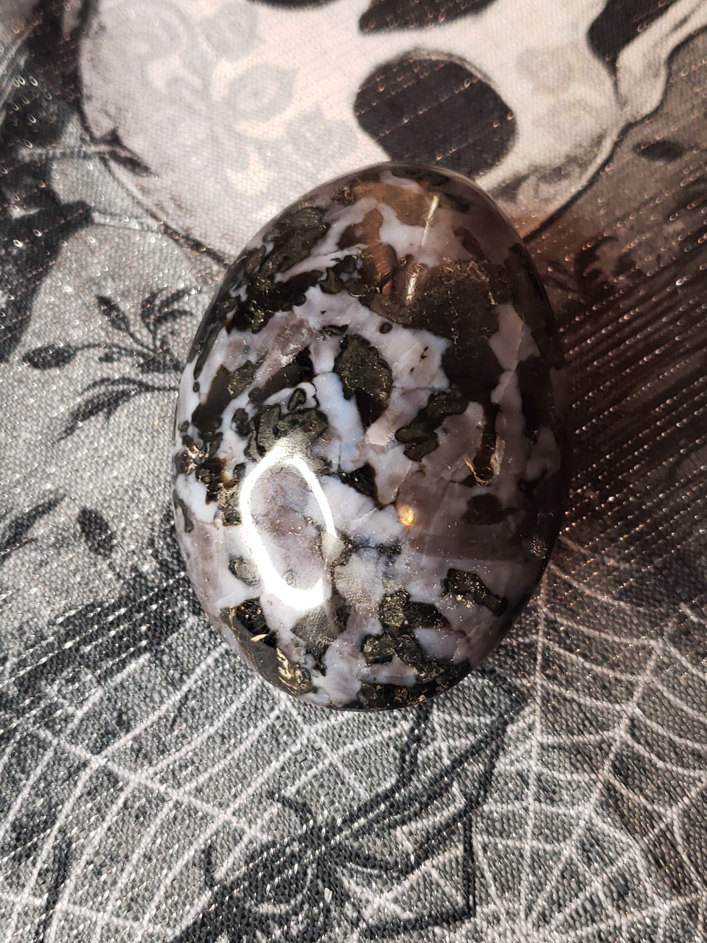 Indigo Gabbro Palm