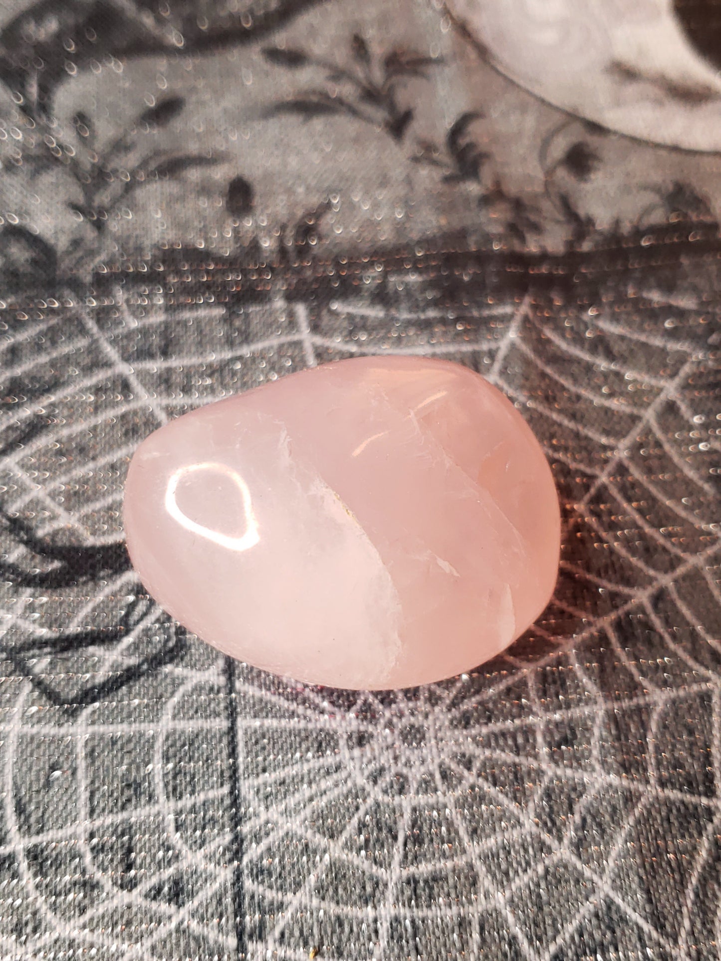 Rose Quartz Palm