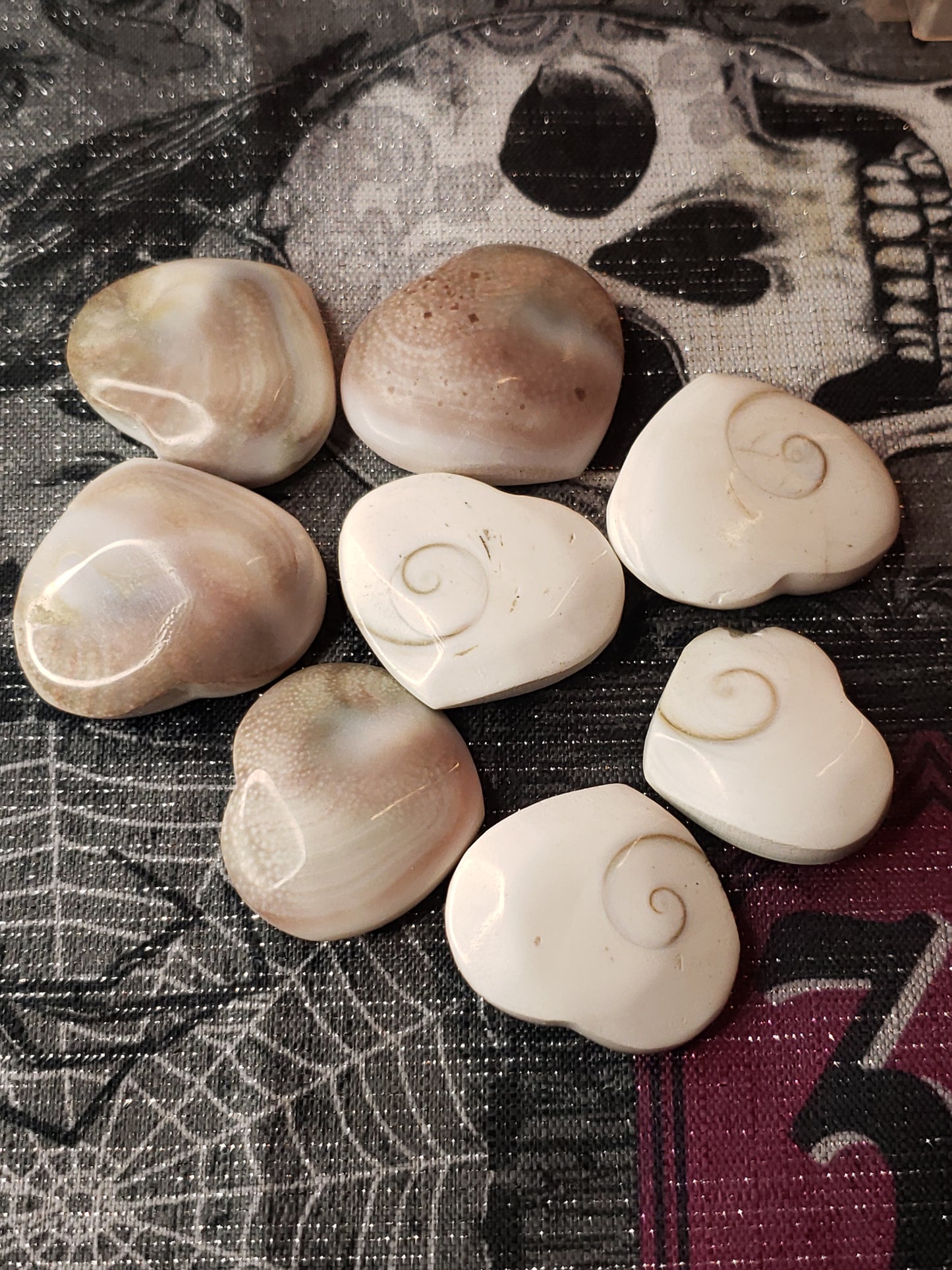 Shell heart