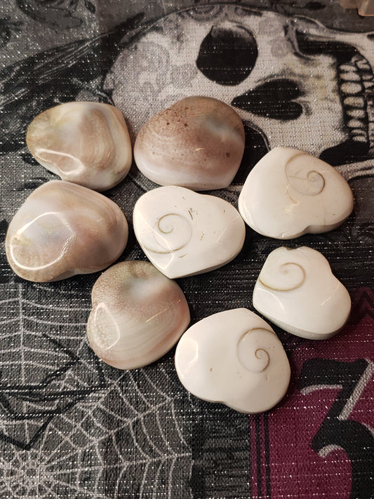 Shell heart